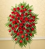Flowers - Four Dozen Rose Sympathy Standing Spray - Red