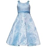 Rare Editions Girls PLUS SIZE AQUA BLUE SEQUINED BUTTERFLY Special Occasion Wedding Flower Girl Easter Party Dress