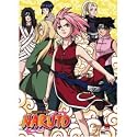Naruto: Girl Power Wall Scroll GE9798