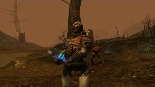 Richard Garriott's Tabula Rasa （輸入版）