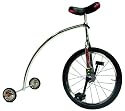 Rand Ross Unicycle with Training Wheels (Chrome)