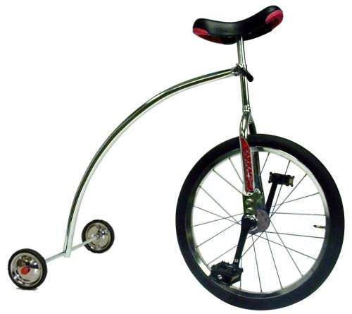 Buy Rand Ross Unicycle with Training Wheels (Chrome) by Rand International