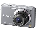 Panasonic DMC-FX100 EG-K Digitalkamera (12 Megapixel, 3,6-fach opt. Zoom, 6,4 cm (2,5 Zoll) Display, Bildstabilisator) schwarz