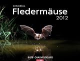 Flederm�use 2012 - 