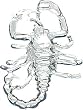 Sterling Silver Scorpion Charm