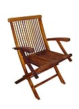 TERRACE MATES Folding Arm Chair / (Set of 2)