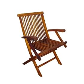 TERRACE MATES Folding Arm Chair (Set of 2) by 