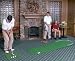 Big Moss Golf Original Putting Green - 3 x 9 Feet