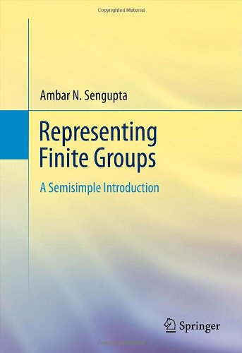 representing finite groups a semisimple introduction