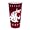 Washington State Cougars