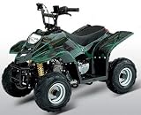 ATA-110B Youth ATV