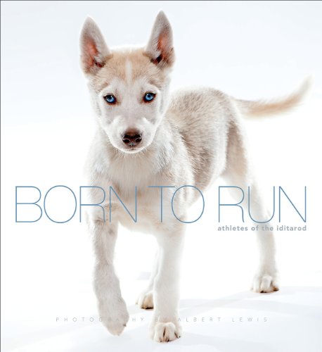 born to run athletes of the iditarod