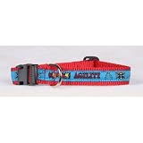 Agility Collar and Lead Set (Medium Plus) Red