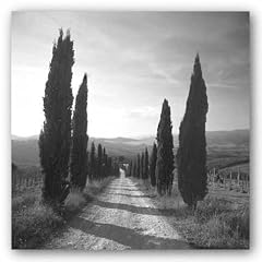 Mensano, Tuscany von Charlie Waite Kunstdruck