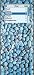 Blue Pebbles - Apple iPod nano 2G (2nd Generation) 2GB 4GB 8GB Hard Case iJacket - Shock Absorbent Hard Protective Faceplate Cover + FREE Rotating Belt Clip Holster + FREE Lanyard + FREE Screen Protector