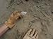 Arrowheads Being Uncovered on the Side of a Cliff Photographic Poster Print, 24x18