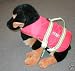 Hot Pink Pet Vest