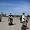 Segway Tour
