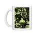 Photo Mugs of WAT-14432 Wild bottle gourd / Calabash from Ardea Wildlife Pets