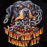 Men's Hoody : What Are You Looking At? - Bad Attitude Rottweiler Top Dawg Design