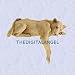 Linda the lazy lioness lion statue home yard sculpture (The Digital Angel)