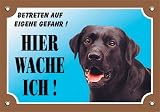 Warnschild Labrador schwarz