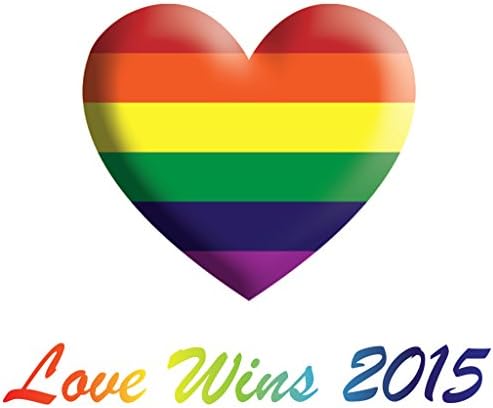 Love Wins 2015 Novelty Commemorative Large Gay Rights Rainbow Heart Wine Glasses, Limited Edition, One Wine Glass