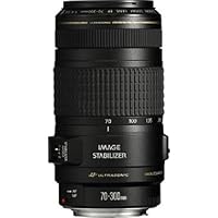 Canon EF - Telephoto zoom lens - 70 mm - 300 mm - f/4.0-5.6 IS USM - Canon EF