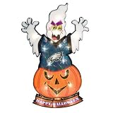 Baltimore Ravens Ghost Light up Window Lawn Stake