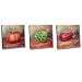 Veggie Series - Gallery Wrapped, Stretched Canvas Oil Paintings - Size 10x10 each