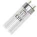 GE 72761 - G15T8/CVG Germicidal Fluorescent Light Bulb