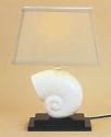 Sea Shell Table Lamp