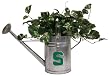 Michigan State Spartans Watering Can - NCAA College Athletics - Fan Shop Sports Team Merchandise