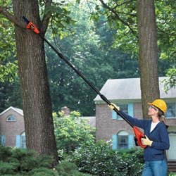 Cordless Telescoping Chain Saw