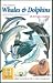 Whale and Dolphin Walrus Seal Ocean Mammals Standard Poker Playing Card Deck featurin...