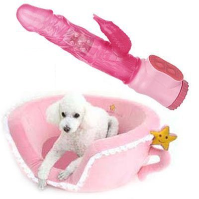 Orgasmic Pleasure Pearl Beads Rabbit Vibrator Masturbator & Lace Edge Pink Tea Cup Pet Bed & Original Artwork Chinese Love Spell Symbol Pocket Card Gift Set On Sale