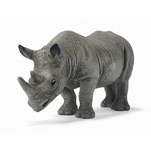 African Black Rhino by