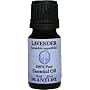 Lavender 100% Pure Essential Oil - 10 ml
