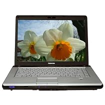 Toshiba Satellite A205-S4617 15.4" Laptop (Intel Core 2 Duo Processor T5500, 2 GB RAM, 250 GB Hard Drive, SuperMulti DVD Drive, Vista Premium)