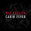 Cabin Fever