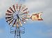 Old Windmill - 24