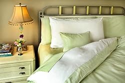 BedVoyage 100-Percent Bamboo-Derived Rayon Reversible Queen Duvet Cover, White/Sage