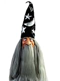 41mkr8fbVuL. SL160  Wizard Hat And Hair Grey Halloween Mask
