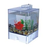 41ml21lKZpL. SL160  Buy Betta Fish Tank