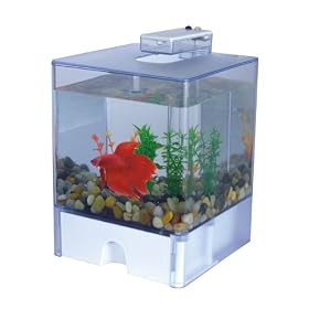 Aqua Cube Betta Aquarium - 0.8 Gallon