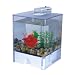 41ml21lKZpL. SL75  Buy Betta Fish Tank