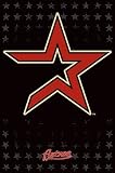 Houston Astros (Logo) Sports Poster Print - 24