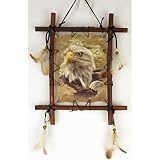 Framed Indian EAGLE Picture Native American Art 9 x 11 (including frame) Reproduction