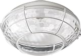 Quorum Fans 1375-808 Large Clear Hammered Glass Patio Light Kit in Studio White