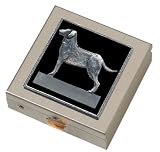 Black Labrador Retriever Small Vitamin Case